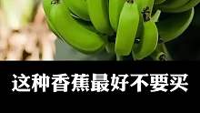 这种香蕉最好不要买，你不一定知道