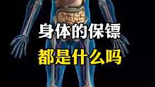 身体的保镖