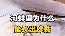 河蚌里为什么能长出珍珠，你知道吗