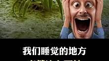 可怕，你的被窝里竟然住着上万只螨虫！！