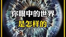 你眼中的世界是怎样的？