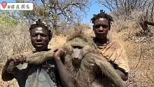 非洲的哈扎比部落族人依旧过着原始人一般的生活！