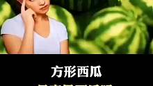 方形的西瓜好吃吗？