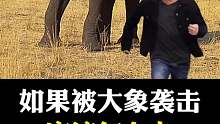 被大象袭击有多危险？
