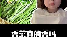香菜真的是香的吗？你可能想象不到！
