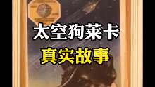 你知道太空狗莱卡的真实故事吗