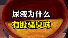 关于n液的小知识你知道多少？