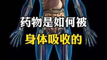 带你了解药物在身体的吸收过程