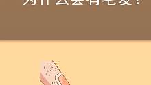 为什么人体的特殊补位会有毛发？