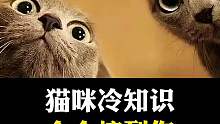 猫咪的奇葩冷知识有哪些？