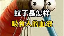 蚊子是怎样吸食人的x液的？过程来啦
