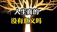 人生的意义，你是怎么理解的？？