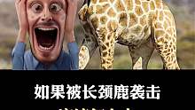 如果被长颈鹿袭击应该怎么办？？