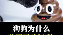 狗狗为什么喜欢吃这玩意？？