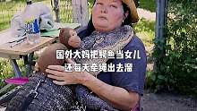 冷血动物也能当宠物？外国大妈把鳄鱼当女儿，还每天牵绳出去遛