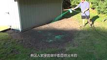 美国的草坪是喷出来的？为啥这样做？看完真是大开眼见