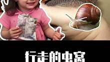 关于非洲大蜗牛你了解多少？