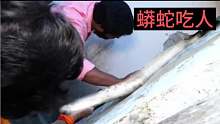 男子半夜睡觉，蟒蛇进入他的房间想吃人，蟒蛇半夜进村吃人