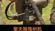 窜天猴撸树机，每小时能修理40棵树