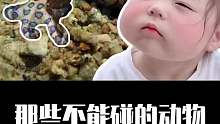 看见这几种动物千万不要上去碰