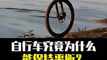 平衡之谜：自行车立稳行远的物理诗篇
