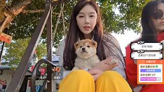 逗弄乖巧小狗展露喜愛之情