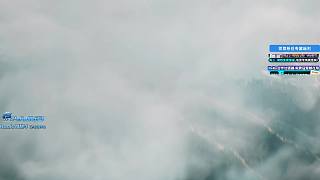 揭秘水泥bug引發(fā)角色僵值問題