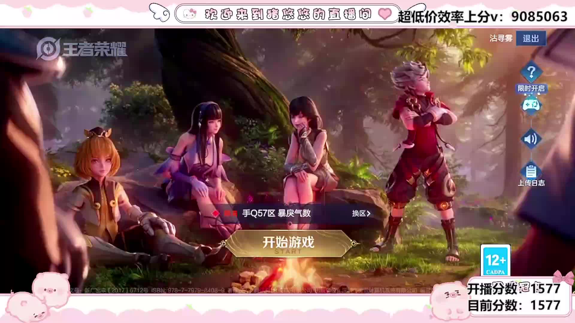 悠悠决定开启王者征程