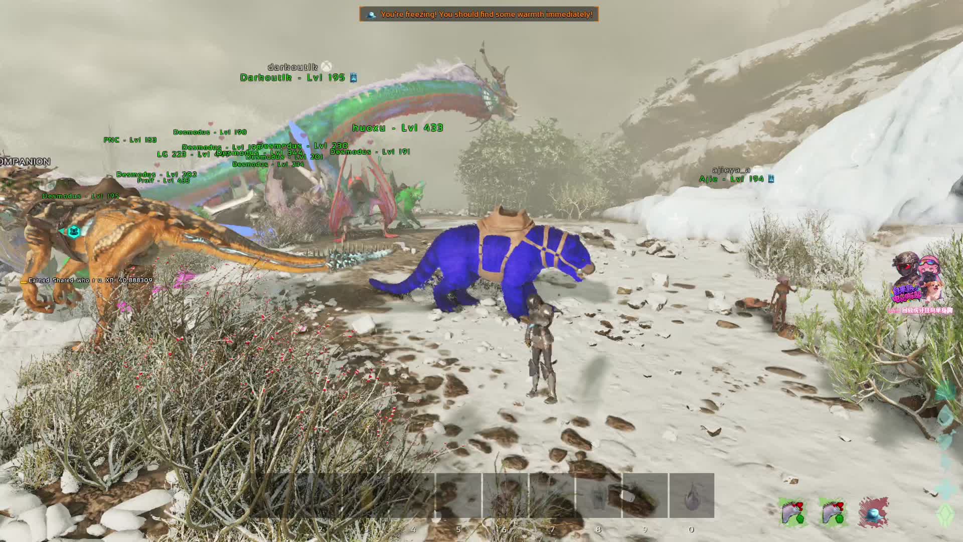 遭遇游戏崩溃频繁卡顿