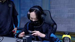 探討雌雄同體成長概念