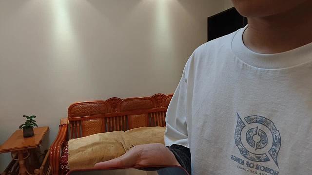 放狗叫声逗猫反遭冷落