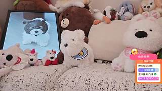 歡迎失眠哥光臨直播間