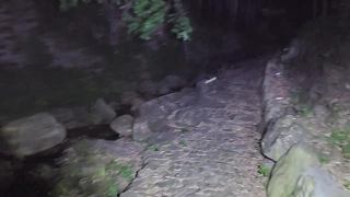 荒野吃苦挑戰(zhàn)獎金一萬元