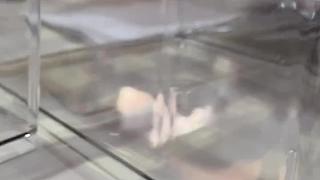 解釋短褲尺碼分配問題
