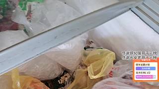 給狗打水時(shí)直呼好臭