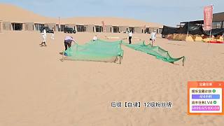 沙漠尋寶找瓶子興奮遇難題
