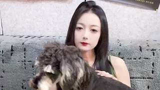 狗狗粘人性格隨主人