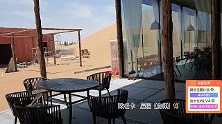 幽默探討鯊魚精來歷