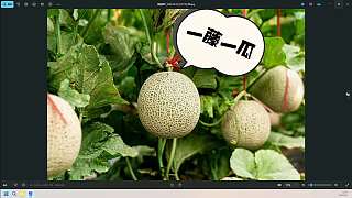 星際選手賽中直呼體力不支