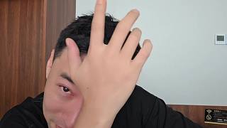 狗從霧中返回未打招呼