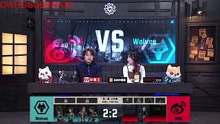 選手昵稱趣談引發(fā)歡笑