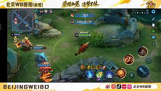 指導(dǎo)隊(duì)友反被敵方秒殺
