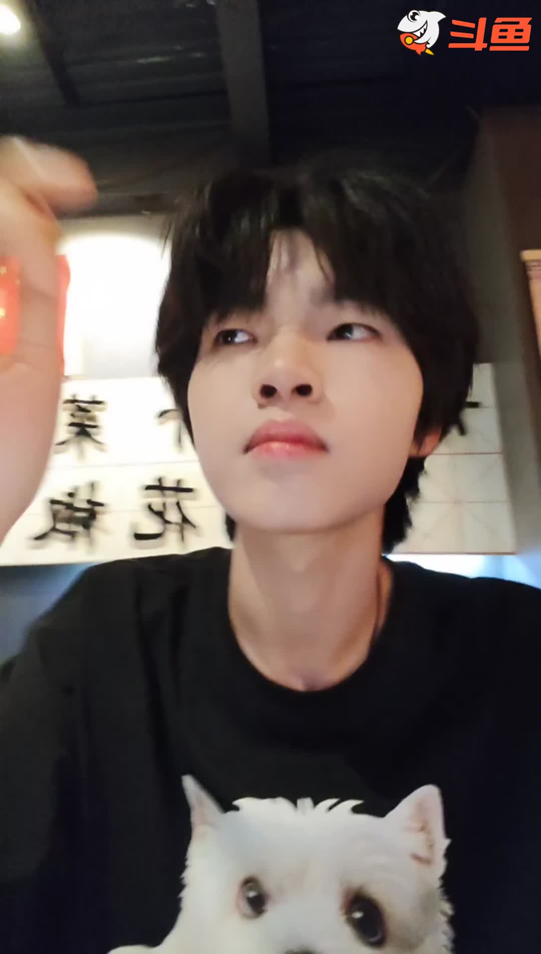 开播获观众祝福与夸赞