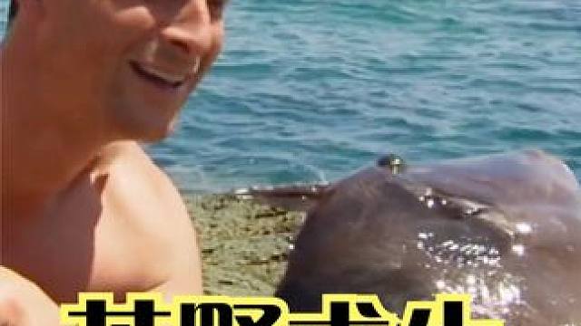 荒野求生：贝爷挑战无人荒岛，大闸蟹用来做诱饵，捕获3斤扳机鱼 #贝爷  #荒野求生  #野外生存