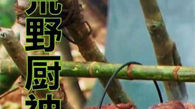 第1集丨猎人带着厨子去丛林度蜜月，一顿饭吃了一头猪 #荒野厨神 #纪录片 #我的观影报告  #荒野求生