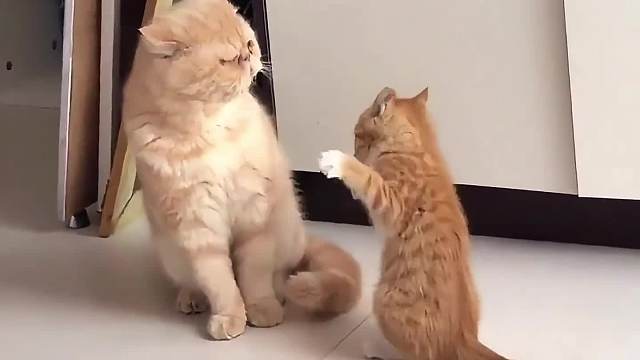 搞笑配音，人家用小拳拳锤你胸口