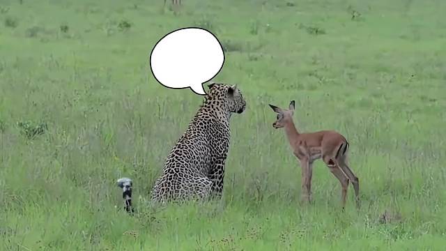 搞笑配音，你儿子在我手上