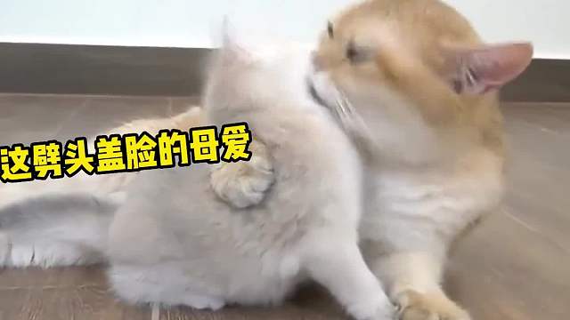 搞笑配音，妈妈我不要洗脸