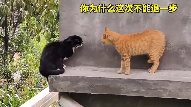 搞笑配音，就让让我这一次吧