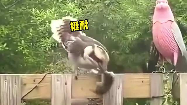 搞笑配音：想松开但是松不开，想哭，急